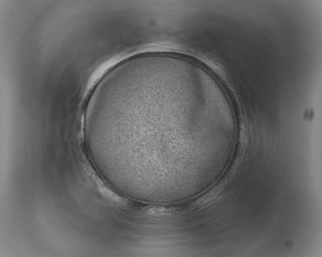X0000113631366200910021842