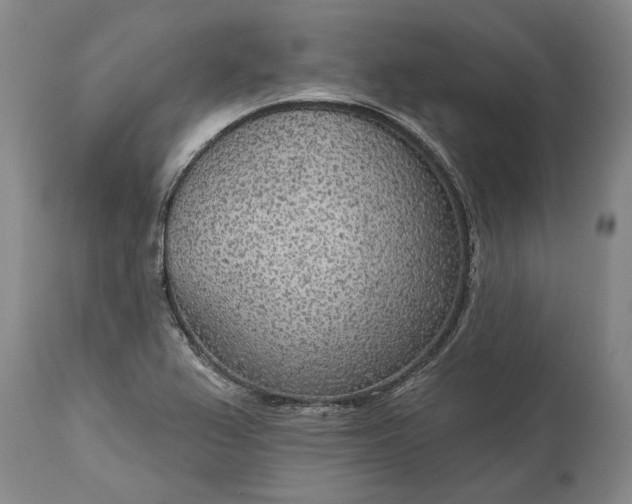 X0000113631367200910021842