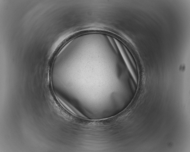 X0000113631368200910021842