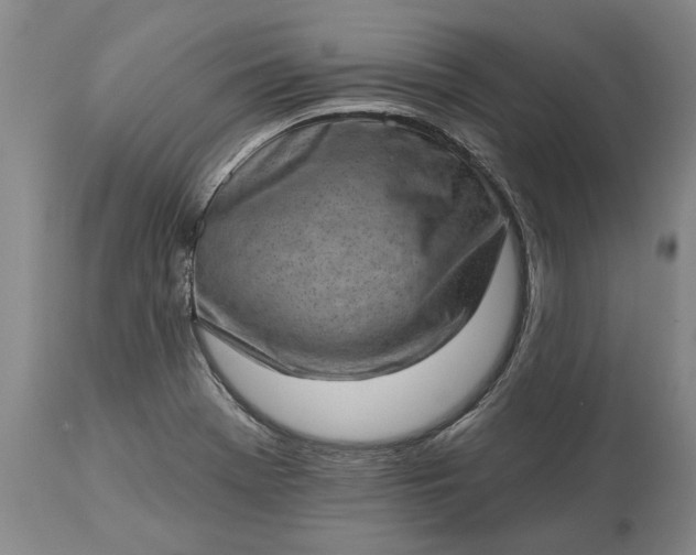 X0000113631369200910021842