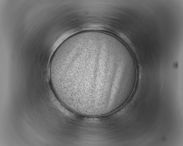 X0000113631370200910021842