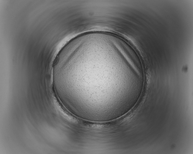 X0000113631371200910021842