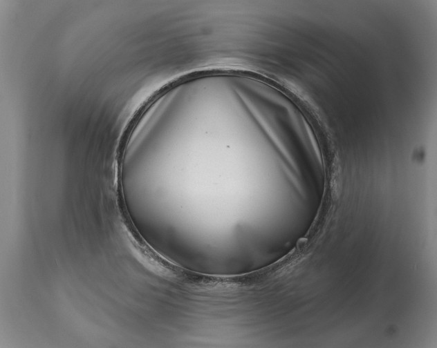 X0000113631372200910021842