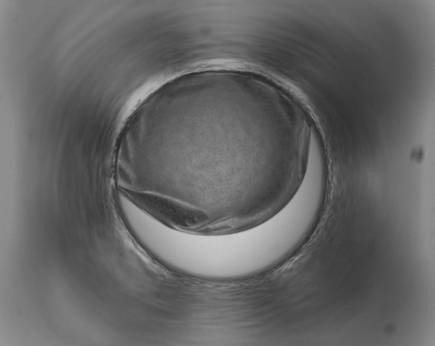 X0000113631373200910021842