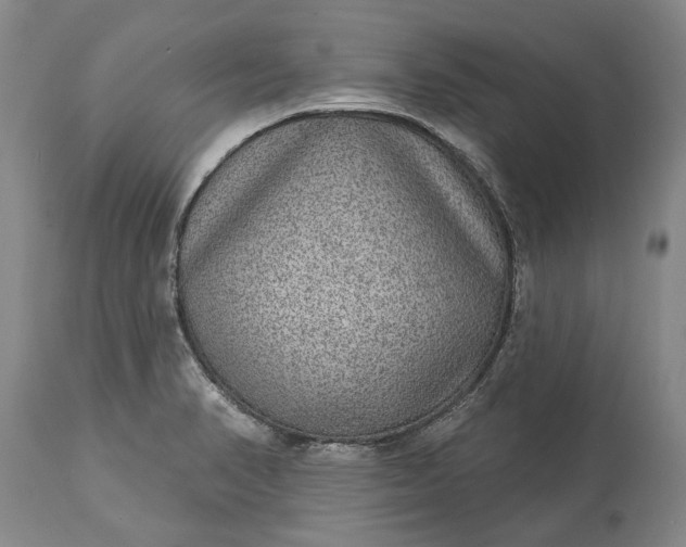 X0000113631374200910021842