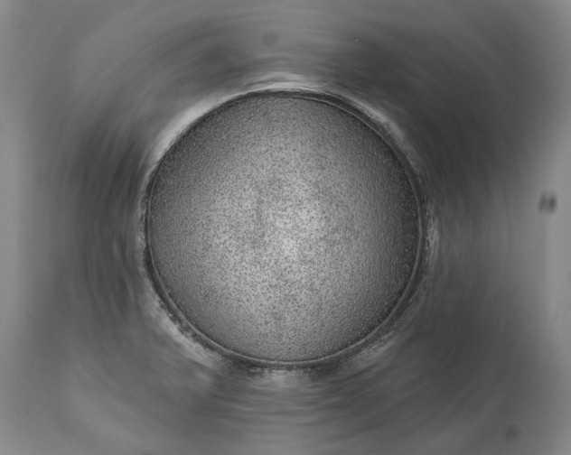 X0000113631375200910021842