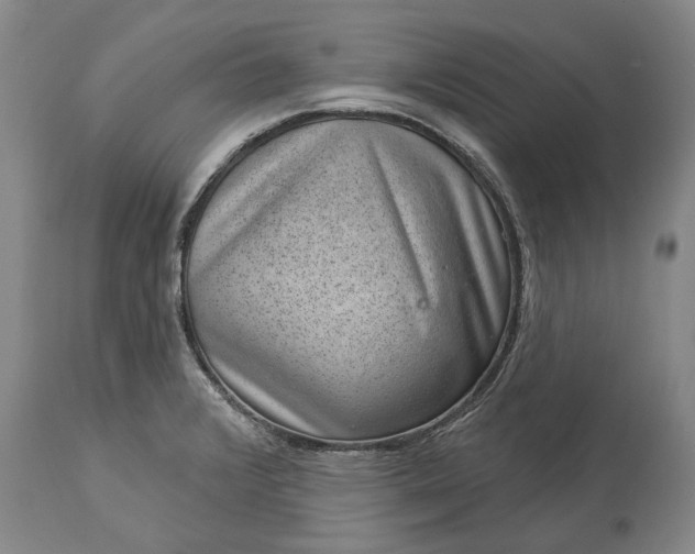 X0000113631376200910021842