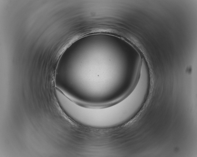 X0000113631377200910021842