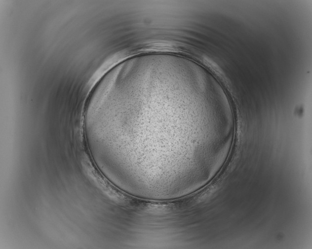 X0000113631378200910021842