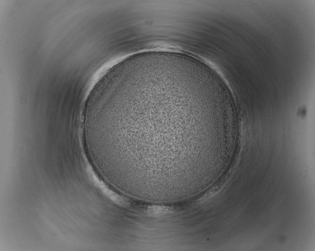 X0000113631379200910021842