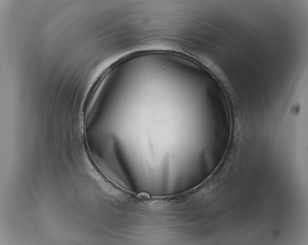 X0000113631380200910021842