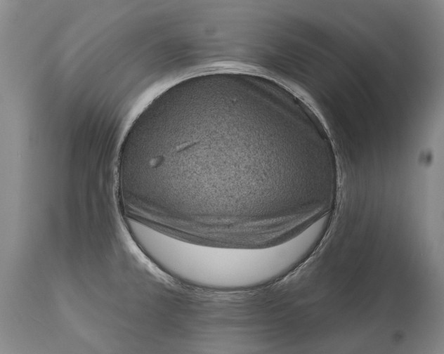 X0000113631381200910021842