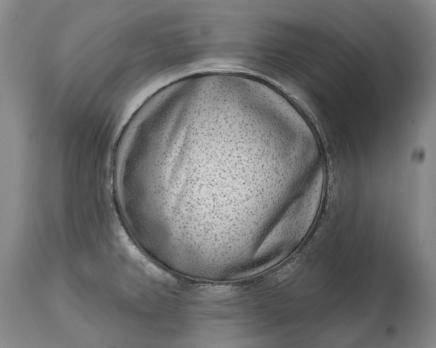 X0000113631382200910021842