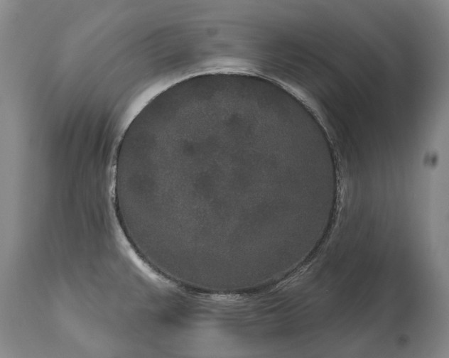 X0000113631383200910021842