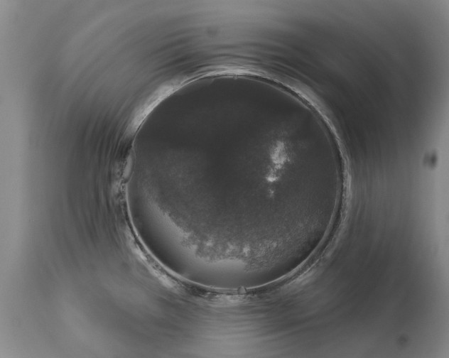 X0000113631385200910021842