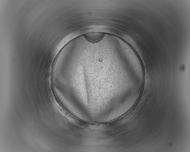 X0000113631386200910021842