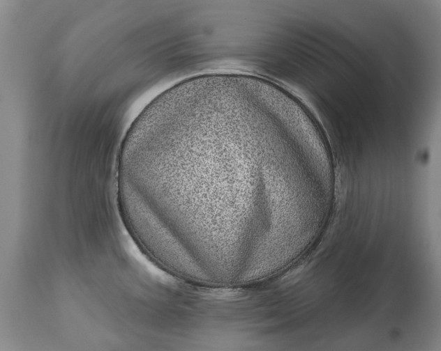 X0000113631387200910021842