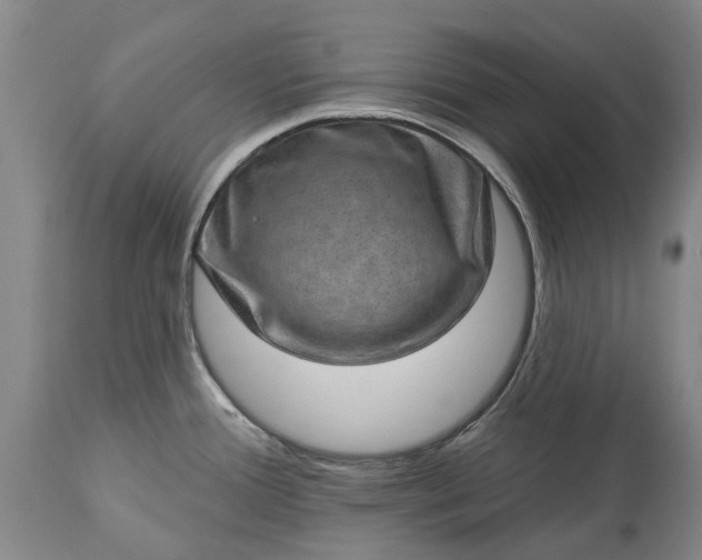 X0000113631388200910021842