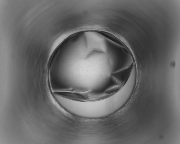 X0000113631389200910021842