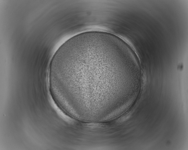 X0000113631391200910021842
