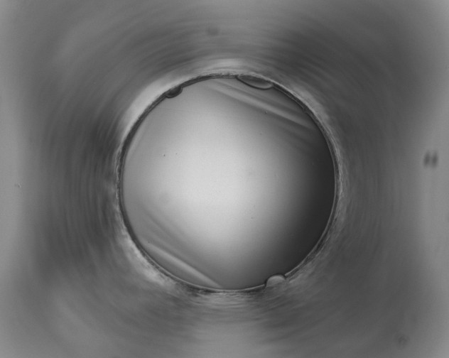 X0000113631392200910021842