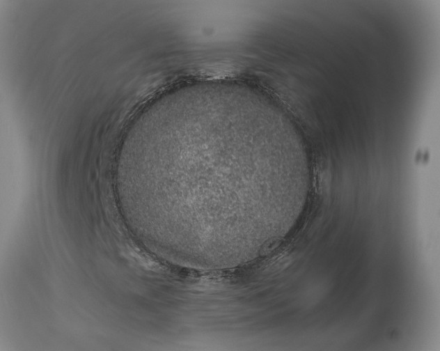 X0000113631393200910021841