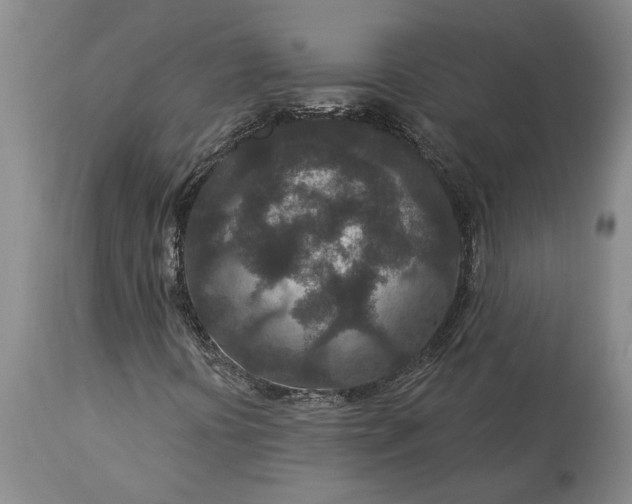 X0000113631394200910021841