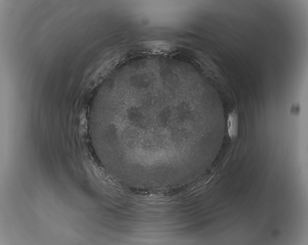 X0000113631395200910021841