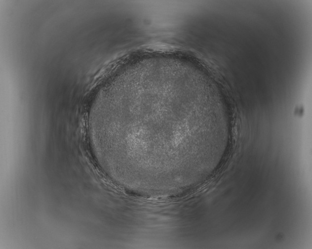 X0000113631397200910021841