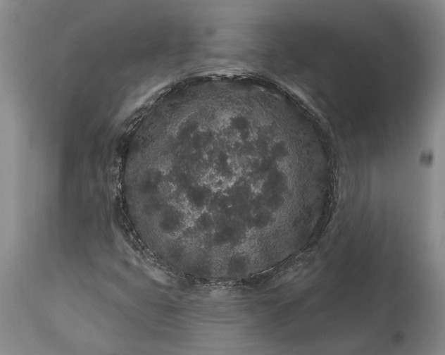 X0000113631399200910021841