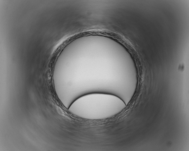 X0000113631400200910021841