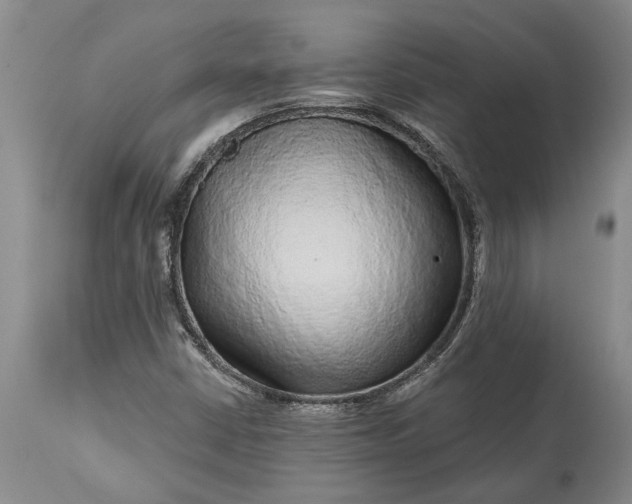 X0000113631402200910021841