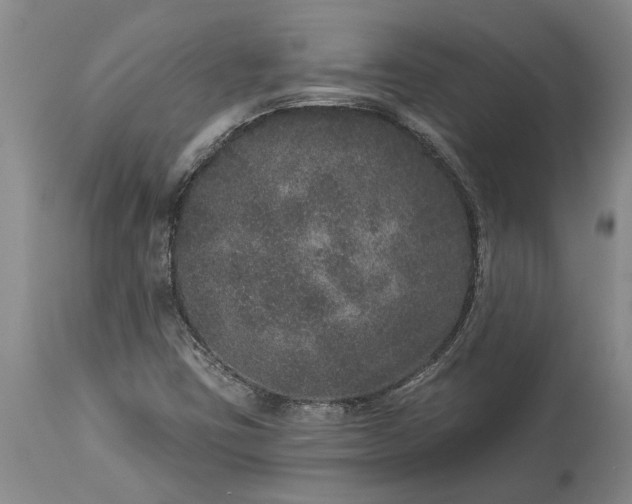 X0000113631403200910021841