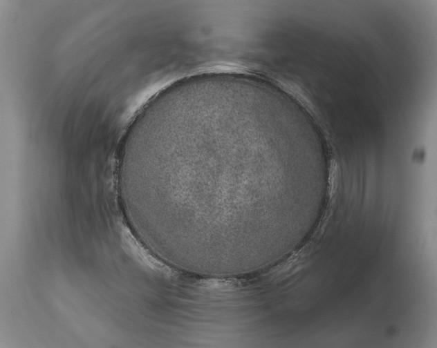 X0000113631404200910021841