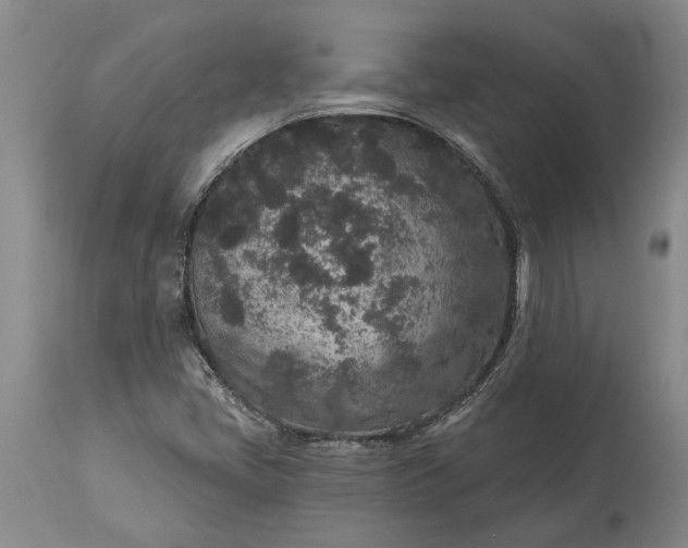 X0000113631405200910021841