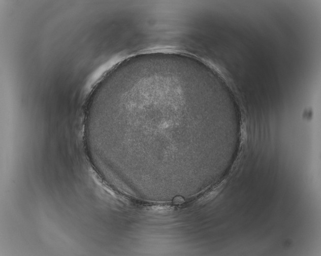 X0000113631406200910021841