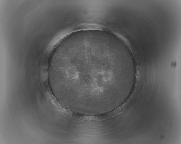 X0000113631407200910021841