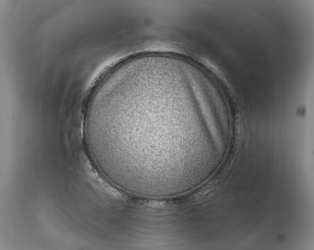 X0000113631408200910021841