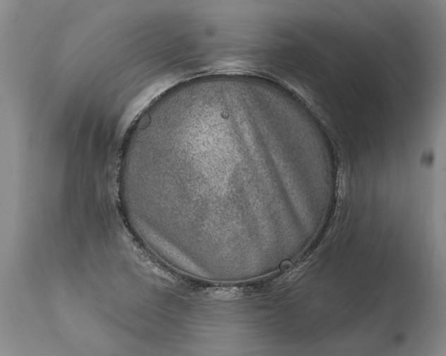 X0000113631410200910021841