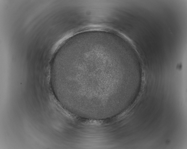 X0000113631411200910021841