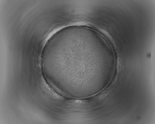 X0000113631412200910021841
