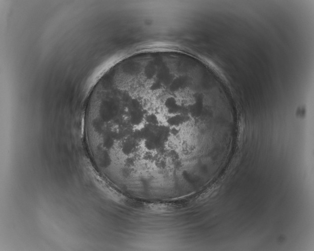 X0000113631413200910021841