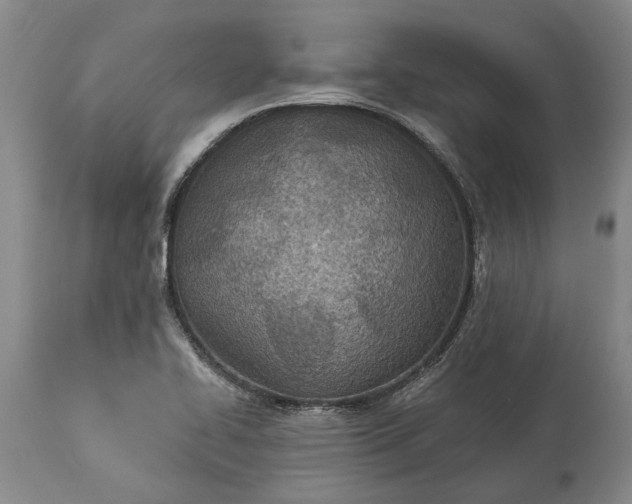 X0000113631414200910021841