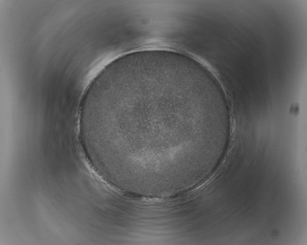 X0000113631415200910021841