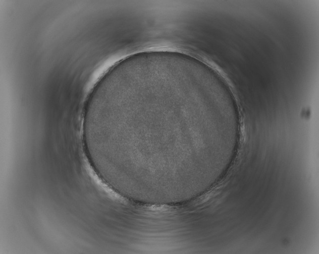 X0000113631416200910021841