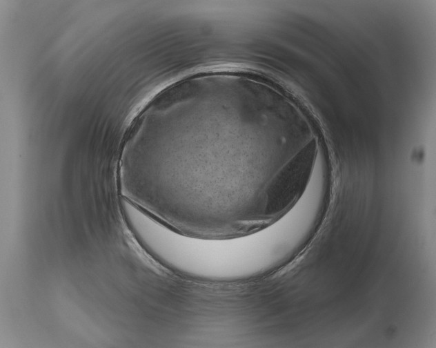 X0000113631417200910021841