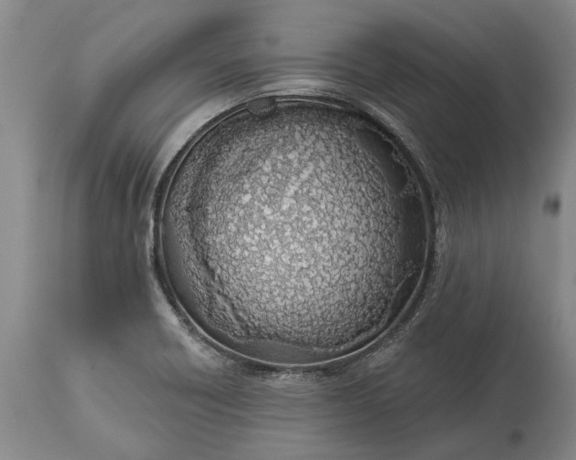 X0000113631418200910021841