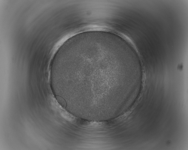 X0000113631419200910021841
