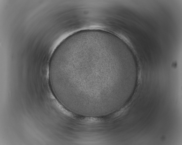 X0000113631420200910021841