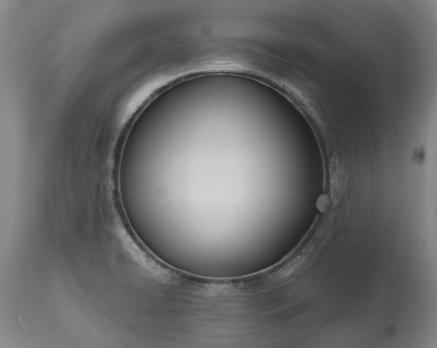 X0000113631422200910021841